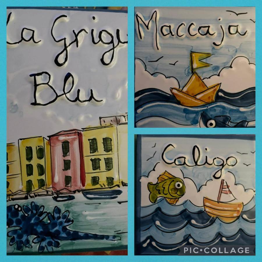 Appartement La Grigua Blu à Riomaggiore Extérieur photo